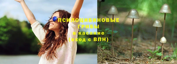 хмурый Алзамай