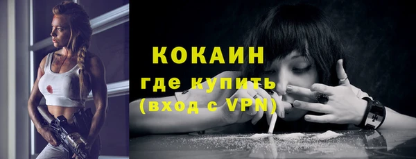 крисы Алексин