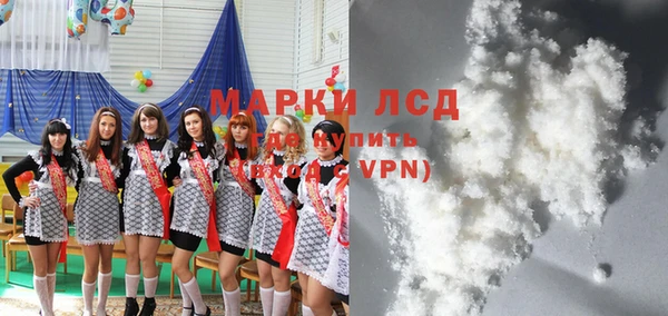 хмурый Алзамай