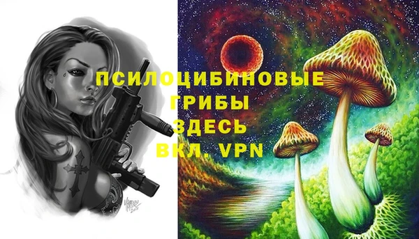 хмурый Алзамай